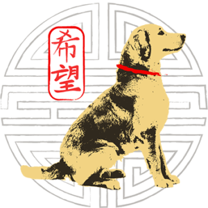 China Rescue Dogs